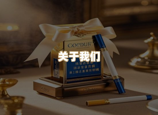 关于蓝帝网